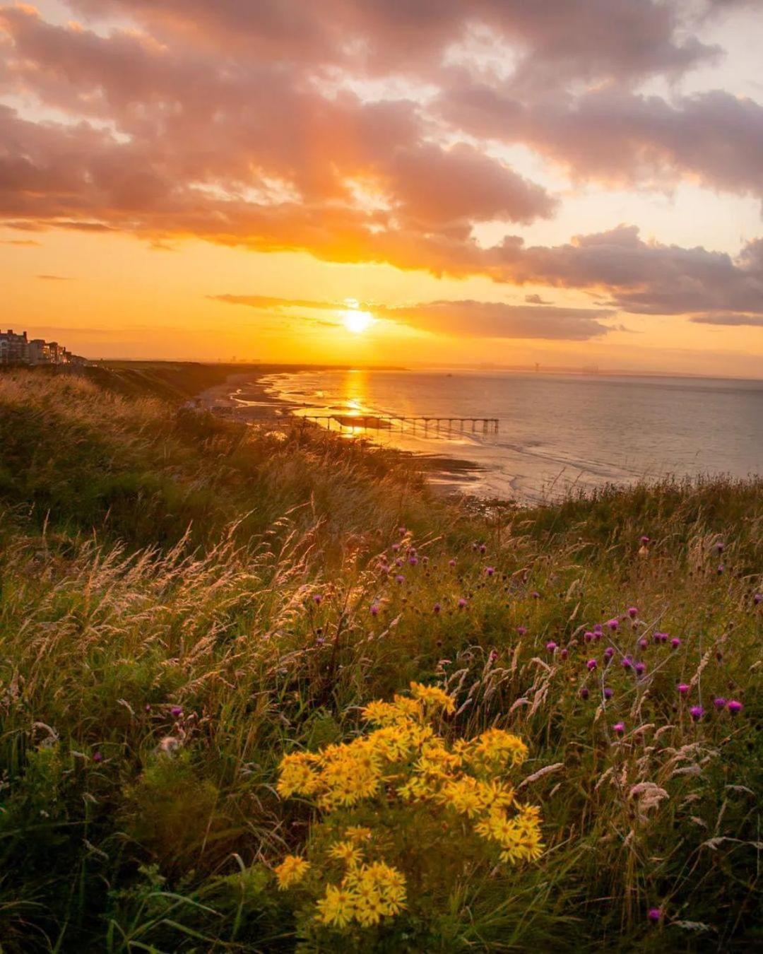 Captain'S Deck Beach Balcony Perfectlysaltburn Екстер'єр фото