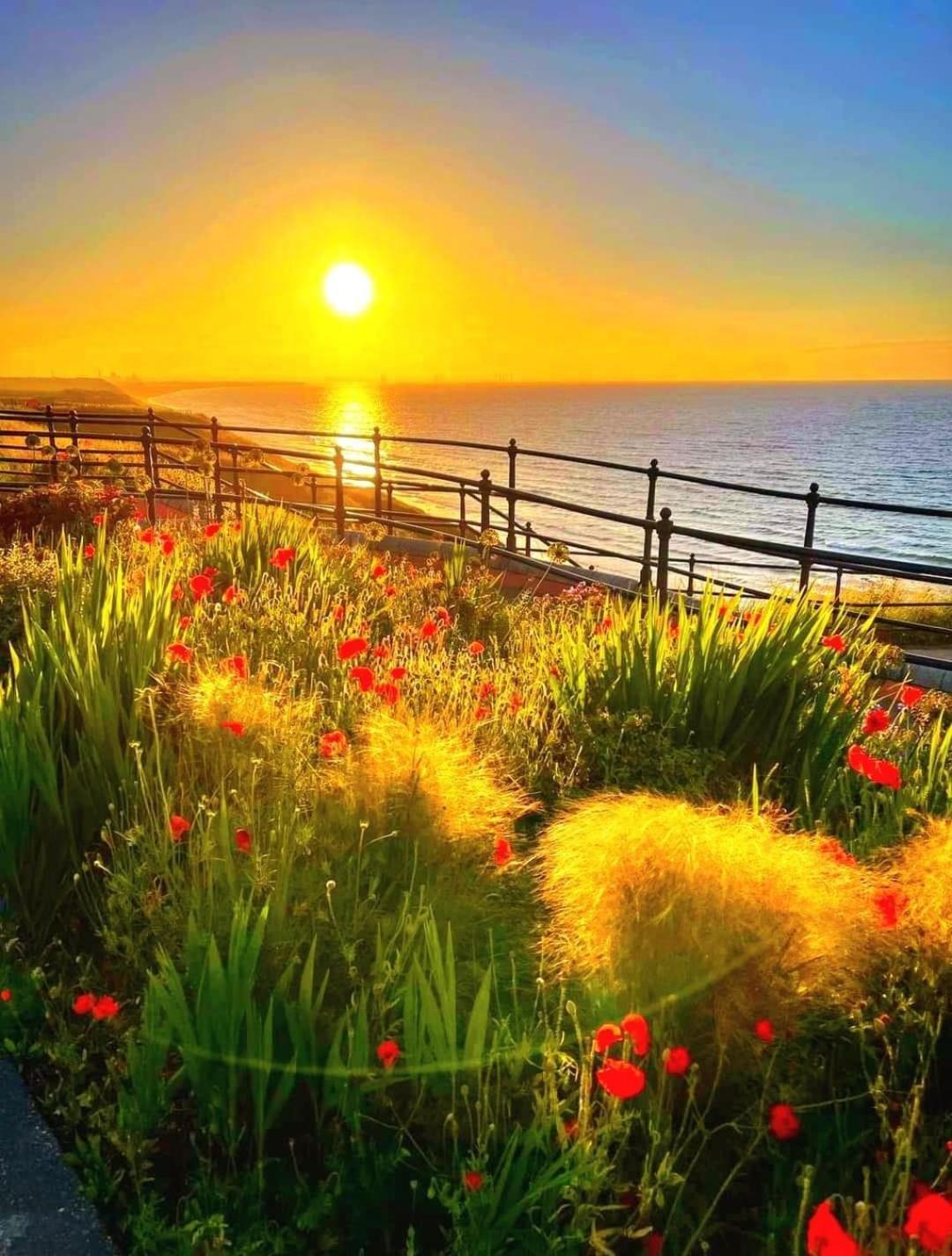 Captain'S Deck Beach Balcony Perfectlysaltburn Екстер'єр фото